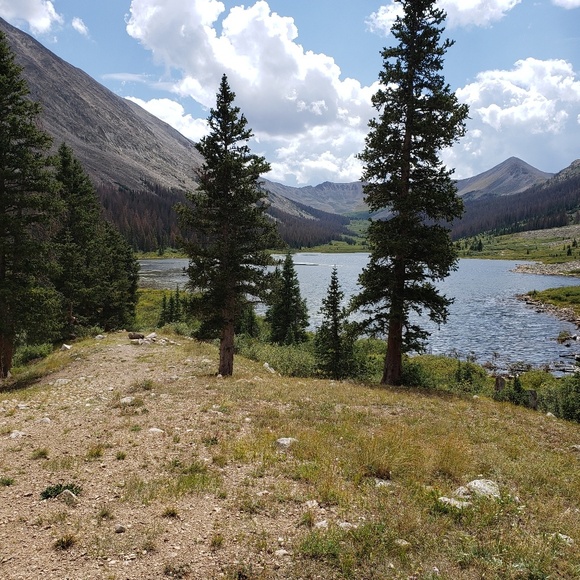 Meet your Posher, Michelle - Picture 2 of 4